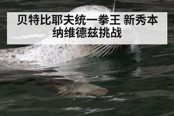 贝特比耶夫统一拳王 新秀本纳维德兹挑战