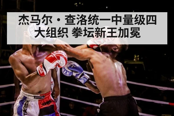 杰马尔·查洛统一中量级四大组织 拳坛新王加冕